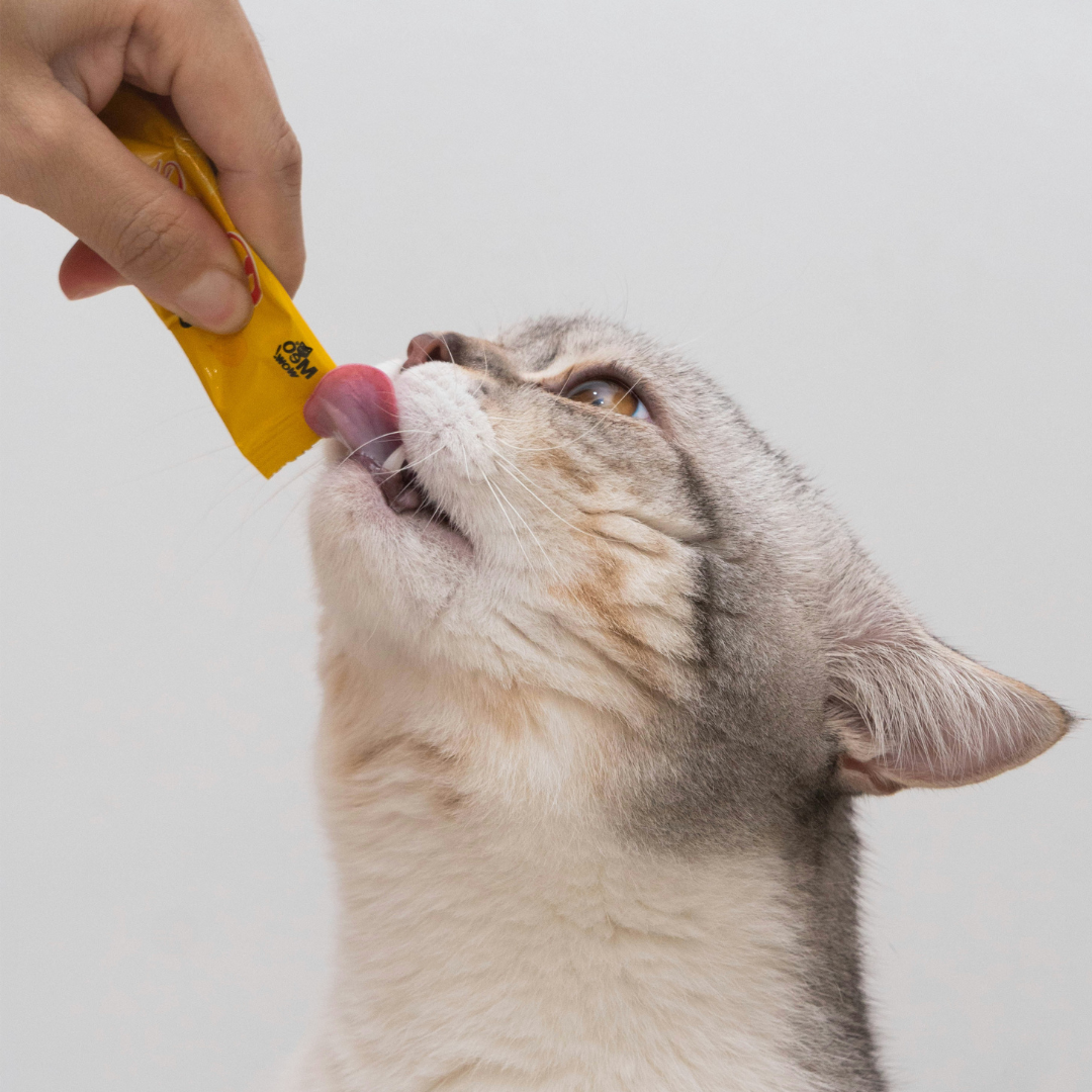 Are High-Calorie Treats Safe for Cats?