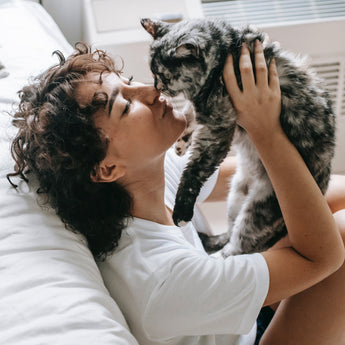 Cat Care Essentials: From Cleanliness to Feline Fun Time
