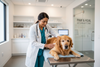 Product Spotlight: Neoderm Cream For Dogs and Cats