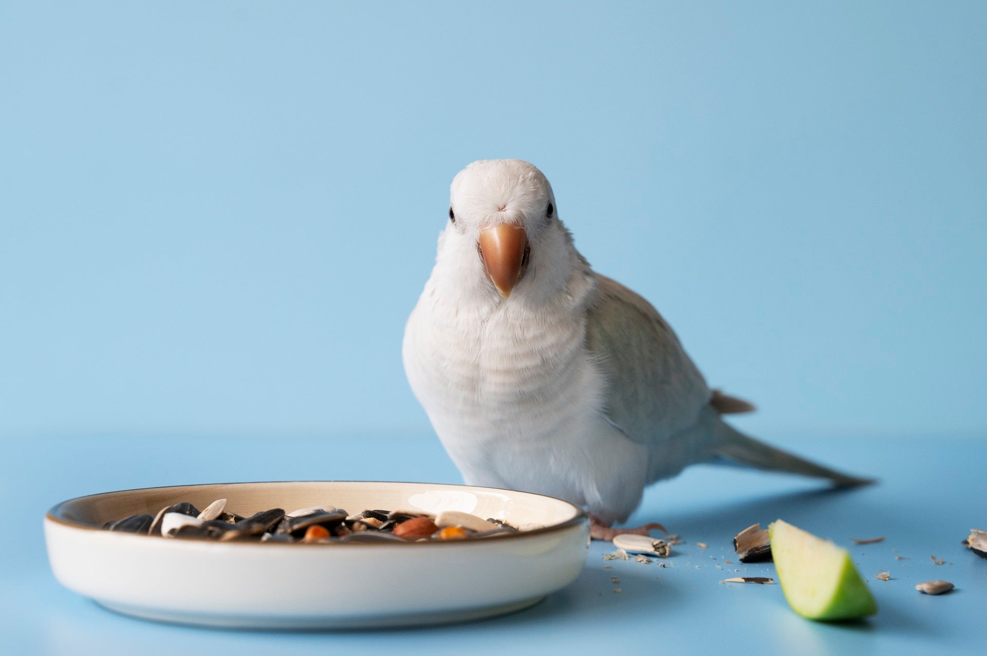 5 Types of Grains to Feed Your Pet Birds