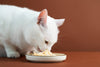Prescription Pet Food 101: What It Is and Its Benefits