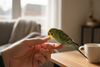 What to Do If Your Bird Is a Picky Eater: Practical Tips for Healthier Feeding Habits