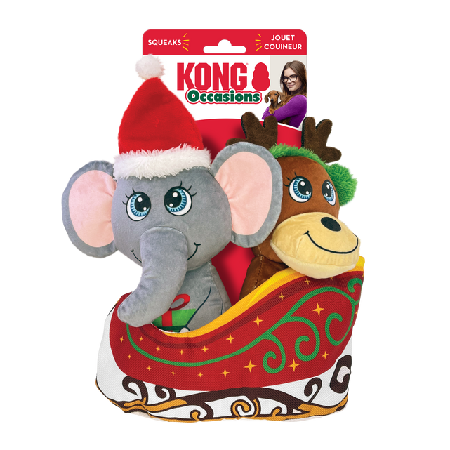 Kong Holiday Occasions Sleigh