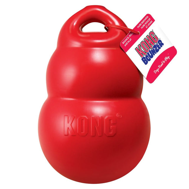 Kong Bounzer