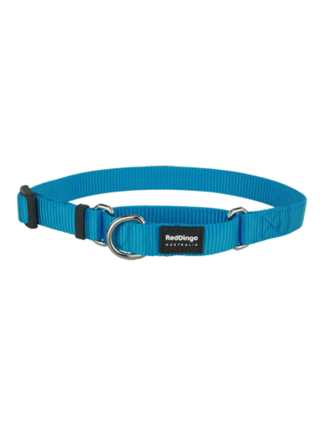 Red Dingo Martingale Half Check Dog Collar Turquoise (12mm/15mm/20mm/25mm)