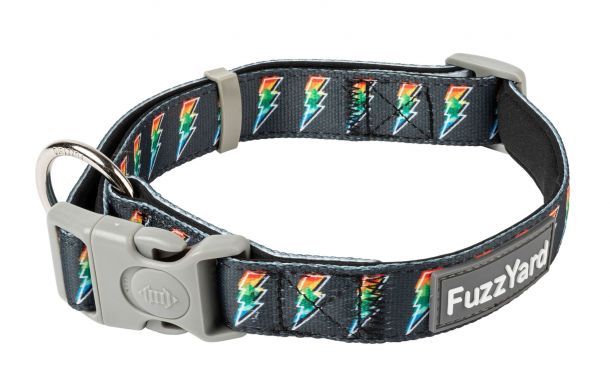 FuzzYard Dog Collar - Volt! (S/M/L)