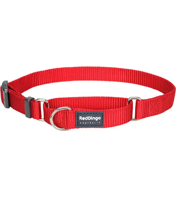 Red Dingo Martingale Half Check Dog Collar Red (12mm/15mm/20mm/25mm)