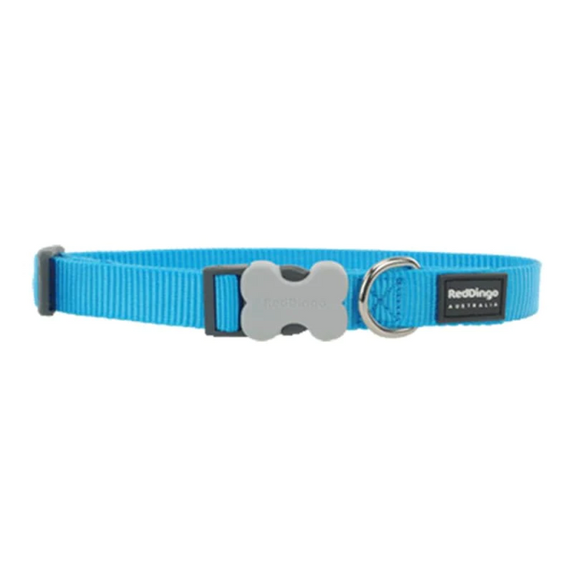 Red Dingo Bucklebone Classic Dog Collar Turquoise (12mm/15mm/20mm/25mm)