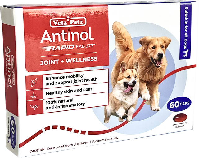 Antinol Rapid for Dogs (60 Capsules/90 Capsules)