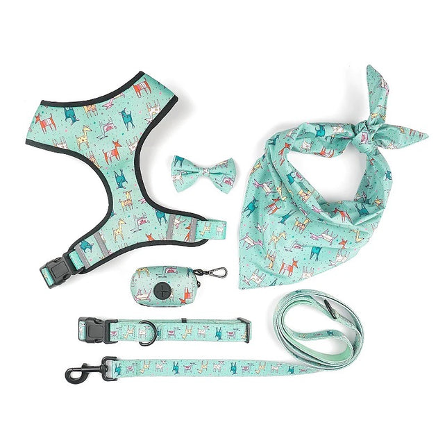 6-Piece Accessories Turquoise Set for Dogs (Various Sizes)