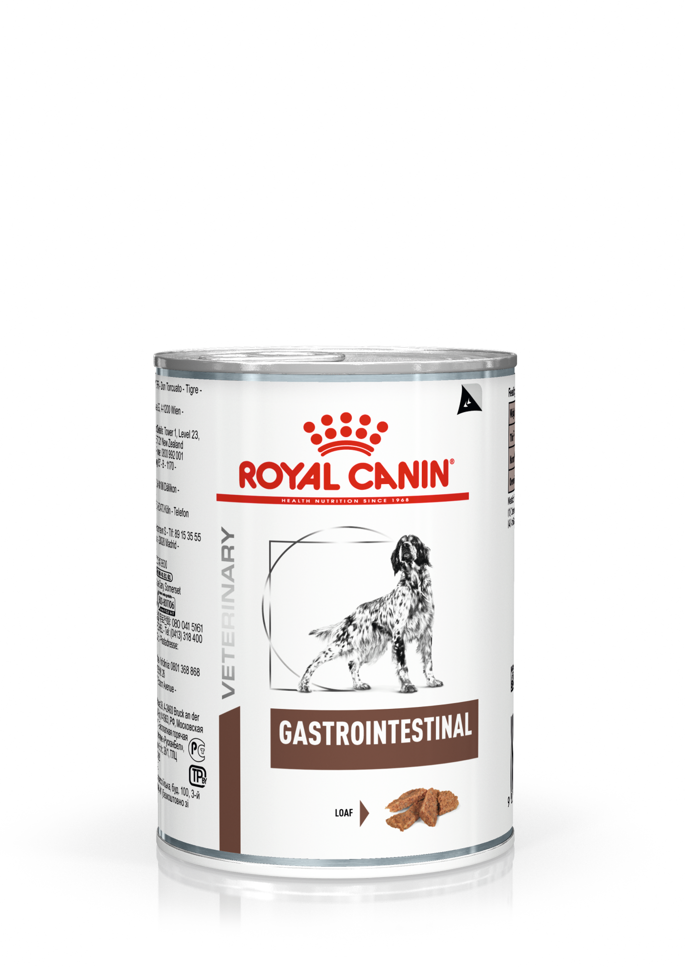 Gastro royal canin dog food sale