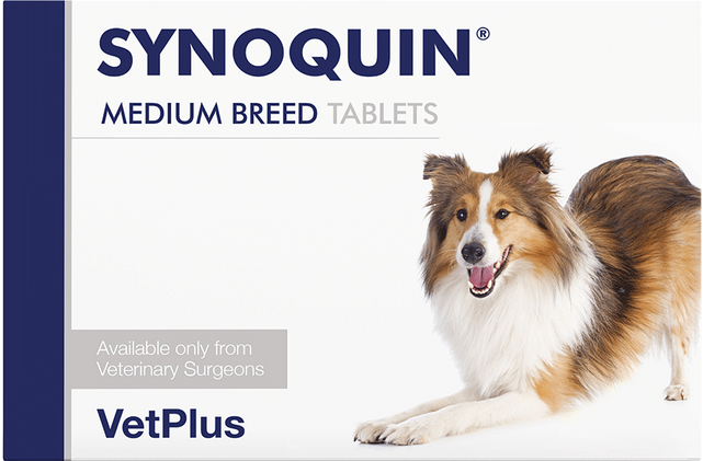 Synoquin Joint Health Supplement Medium Breed Dog 30 Tablets (10-25kg)