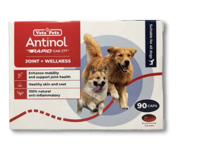 Antinol Rapid for Dogs (60 Capsules/90 Capsules)