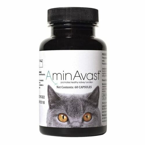AminAvast Kidney Support Cat Supplement 300mg (60caps/bottle)