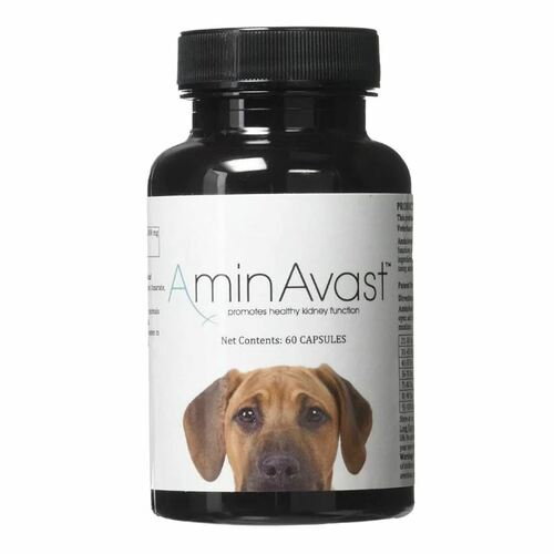 AminAvast Kidney Support Dog Supplement 1000mg (60caps/bottle)